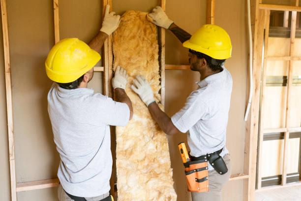 Best Insulation Replacement Services  in Orange Lake, NY